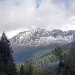 Aaron Muehleisen - @aaronbillslover - Instagram