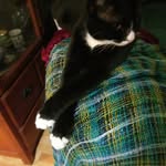 Aaron Binder - @aaron.binder.165 - Instagram