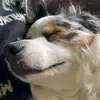 aaron - @aaron.eichmeier - TikTok