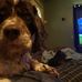 Aaron J Birdsell - Facebook