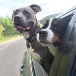Aaron Block - @pittylifewithabernerproblem - Instagram