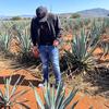 Aaron Bojorquez - @aaronbojorquez2 - TikTok
