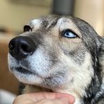 Aaron Boles - @vegtaboles - Instagram