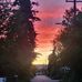 Aaron Bollinger - Facebook