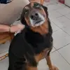 Aaron Bonilla - @_aaron.bonilla - TikTok