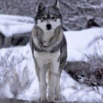 Aaron - @aaron_borchers13 - Instagram