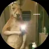 aaronborges3 - @aaronborges3 - TikTok