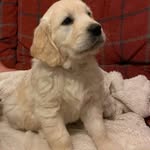 aaron borkes - @aaronborkes - Instagram