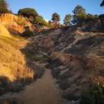 Aaron Born - @aaron_hmbz - Instagram