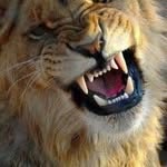 Aaron Apreh Bortey - @aaron.bortey.5 - Instagram