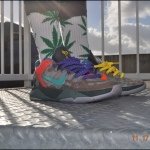 Aaron Bosch - @aaronkicks_305 - Instagram