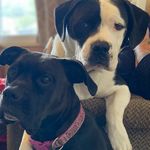 Aaron Bottorff - @aaroncbottorff - Instagram