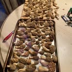 Aaron Bottorff - Facebook