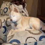 Aaron Bounds - @wrenthekitten - Instagram