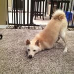 Aaron Bounds - @aaron.a.bounds - Instagram