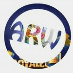 aaron bourdon - @arrow_le_gameur - Instagram