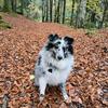 aaron_bourgeois_ - @aaron_bourgeois_ - TikTok