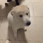 Aaron_Bovey - @aaron_bovey - Instagram