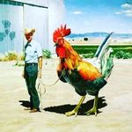 Aaron Bowden - @aaronbowden11 - Instagram