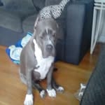 Aaron Bowdoin - @baby._face._aaron - Instagram