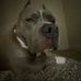 Aaron Bowdoin - Facebook