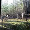 Aaron Bowling - @aaron.bowling7 - TikTok