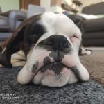 𝐴𝑎𝑟𝑜𝑛🤍🤎 - @aaron_theboxer - Instagram