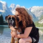 Deutscher Boxer Aaron - @boxer_dog_aaron - Instagram