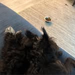 Aaron Boyett - @aaronlight14 - Instagram