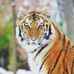 Aaron Boyle - @aaron_boyle_05 - Instagram