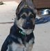 Aaron Brabant - Facebook