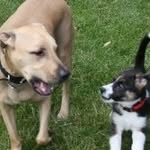 Aaron Brackin - @aaronbrackin - Instagram