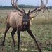 Aaron Bradford - Facebook