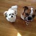 Aaron Bradford - Facebook