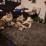 Aaron Bradford - @aaron.bradford.566 - Instagram