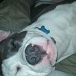 Aaron Branham - @aaron.branham.370 - Instagram