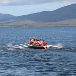 Aaron breen - @aaronbreen1 - Instagram