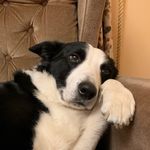 Aaron Breen - @breen2476 - Instagram