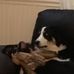 Aaron Broad - Facebook