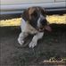 Aaron Broad - Facebook