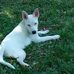 Aaron Broadus - Facebook
