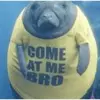 aaronbroadwater57 - @aaronbroadwater57 - TikTok