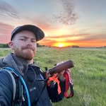 Aaron Roberge - @birds_by_aaron - Instagram