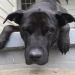 Aaron Bronson - @abronson - Instagram
