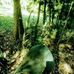 Aaron Bronson - Facebook