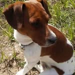 Aaron Brookins - @aaron.brookins.12 - Instagram