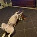 Aaron Brookins - Facebook