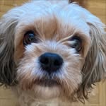 @aron_brostrom_ - Instagram