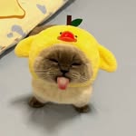 Aaron browne - @kittycatlover712 - Instagram