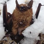 Aaron Brucker - @brucker.aaron - Instagram